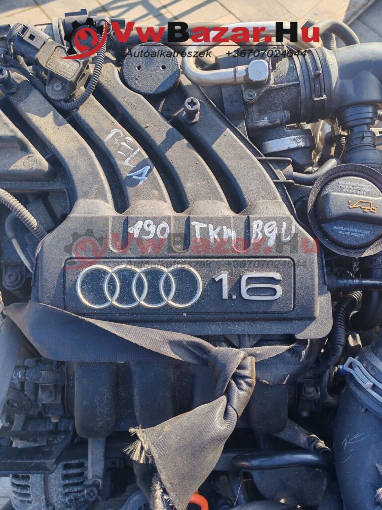 BGU Motor VW AUDI SEAT SKODA